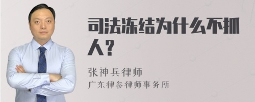 司法冻结为什么不抓人？