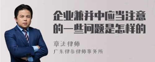 企业兼并中应当注意的一些问题是怎样的