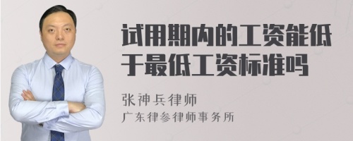 试用期内的工资能低于最低工资标准吗