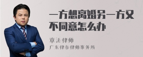 一方想离婚另一方又不同意怎么办