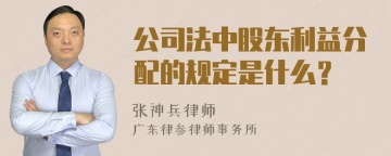 公司法中股东利益分配的规定是什么？