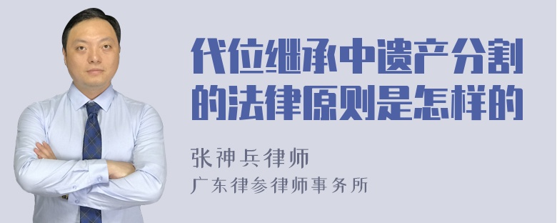 代位继承中遗产分割的法律原则是怎样的