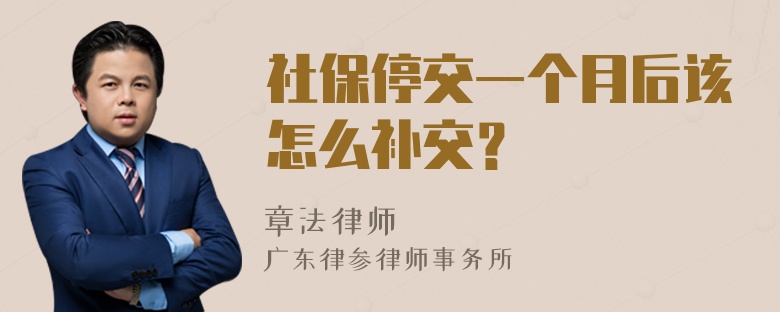 社保停交一个月后该怎么补交？