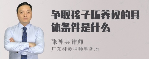 争取孩子抚养权的具体条件是什么