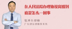 在人民法院办理协议离婚到底是怎么一回事