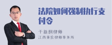 法院如何强制执行支付令