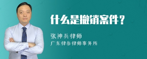 什么是撤销案件？