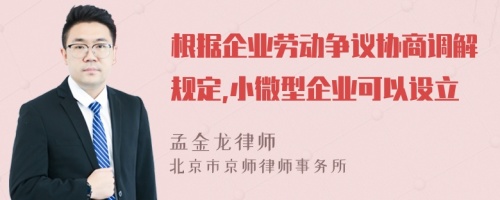 根据企业劳动争议协商调解规定,小微型企业可以设立