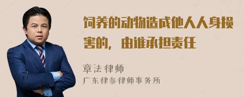 饲养的动物造成他人人身损害的，由谁承担责任