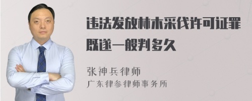 违法发放林木采伐许可证罪既遂一般判多久