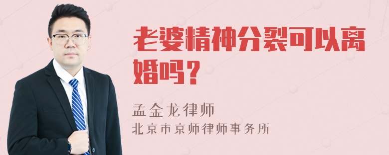 老婆精神分裂可以离婚吗？