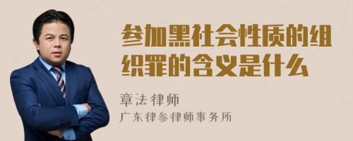 参加黑社会性质的组织罪的含义是什么