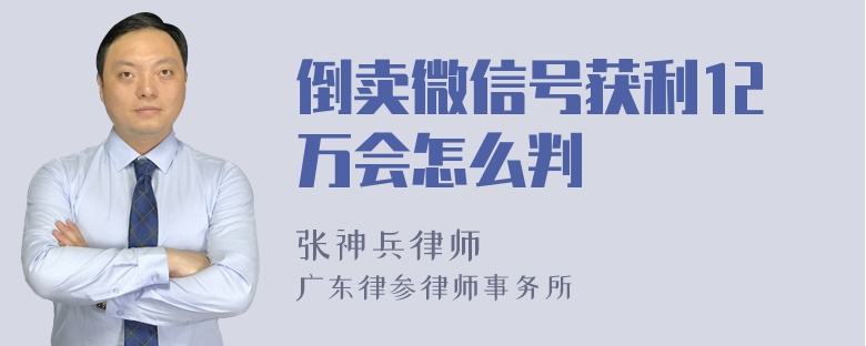 倒卖微信号获利12万会怎么判