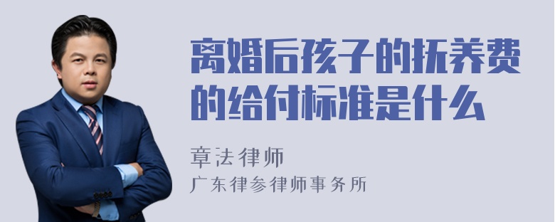 离婚后孩子的抚养费的给付标准是什么