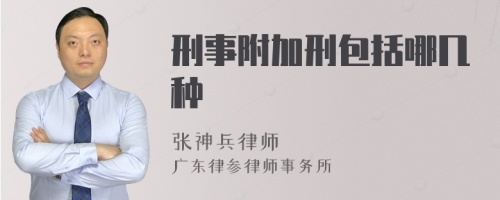 刑事附加刑包括哪几种