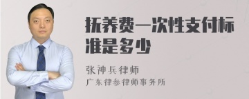 抚养费一次性支付标准是多少