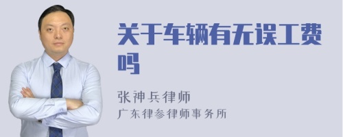 关于车辆有无误工费吗