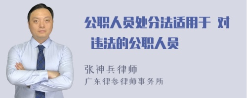 公职人员处分法适用于 对 违法的公职人员