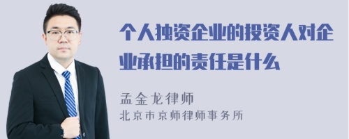 个人独资企业的投资人对企业承担的责任是什么