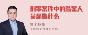 刑事案件中的涉案人员是指什么