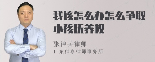 我该怎么办怎么争取小孩抚养权