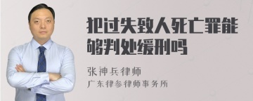 犯过失致人死亡罪能够判处缓刑吗