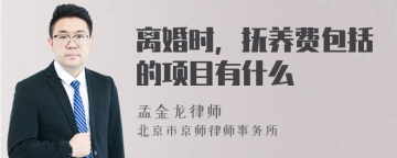 离婚时，抚养费包括的项目有什么