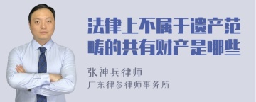 法律上不属于遗产范畴的共有财产是哪些