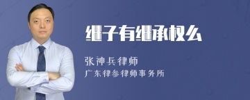 继子有继承权么