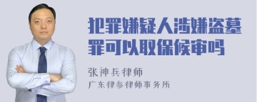 犯罪嫌疑人涉嫌盗墓罪可以取保候审吗