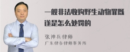 一般非法收购野生动物罪既遂是怎么处罚的