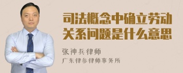 司法概念中确立劳动关系问题是什么意思