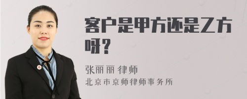 客户是甲方还是乙方呀？