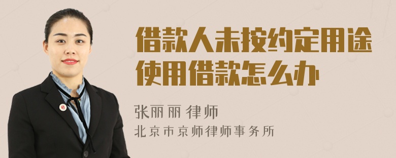 借款人未按约定用途使用借款怎么办
