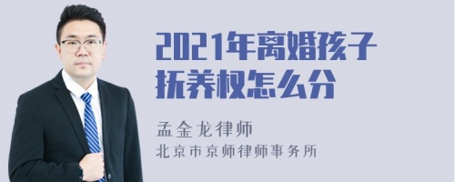 2021年离婚孩子抚养权怎么分