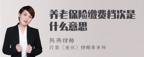 养老保险缴费档次是什么意思