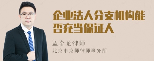 企业法人分支机构能否充当保证人