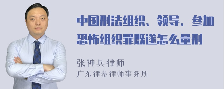 中国刑法组织、领导、参加恐怖组织罪既遂怎么量刑