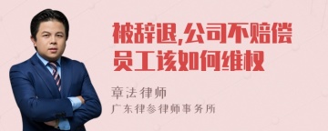 被辞退,公司不赔偿员工该如何维权