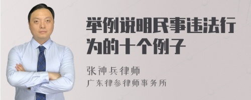 举例说明民事违法行为的十个例子