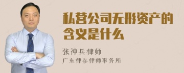 私营公司无形资产的含义是什么