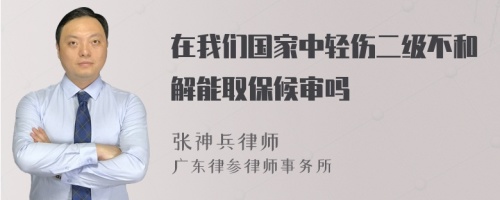 在我们国家中轻伤二级不和解能取保候审吗