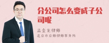 分公司怎么变成子公司呢