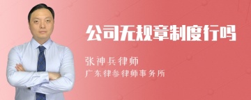 公司无规章制度行吗