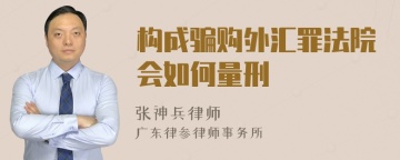 构成骗购外汇罪法院会如何量刑