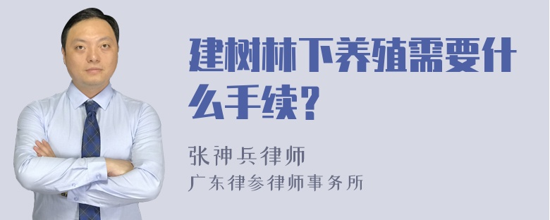 建树林下养殖需要什么手续？