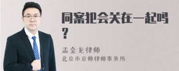 同案犯会关在一起吗？