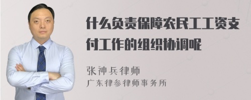 什么负责保障农民工工资支付工作的组织协调呢