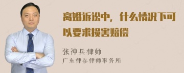 离婚诉讼中，什么情况下可以要求损害赔偿