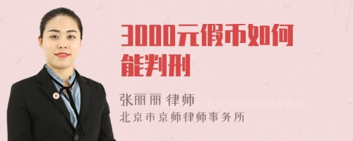 3000元假币如何能判刑